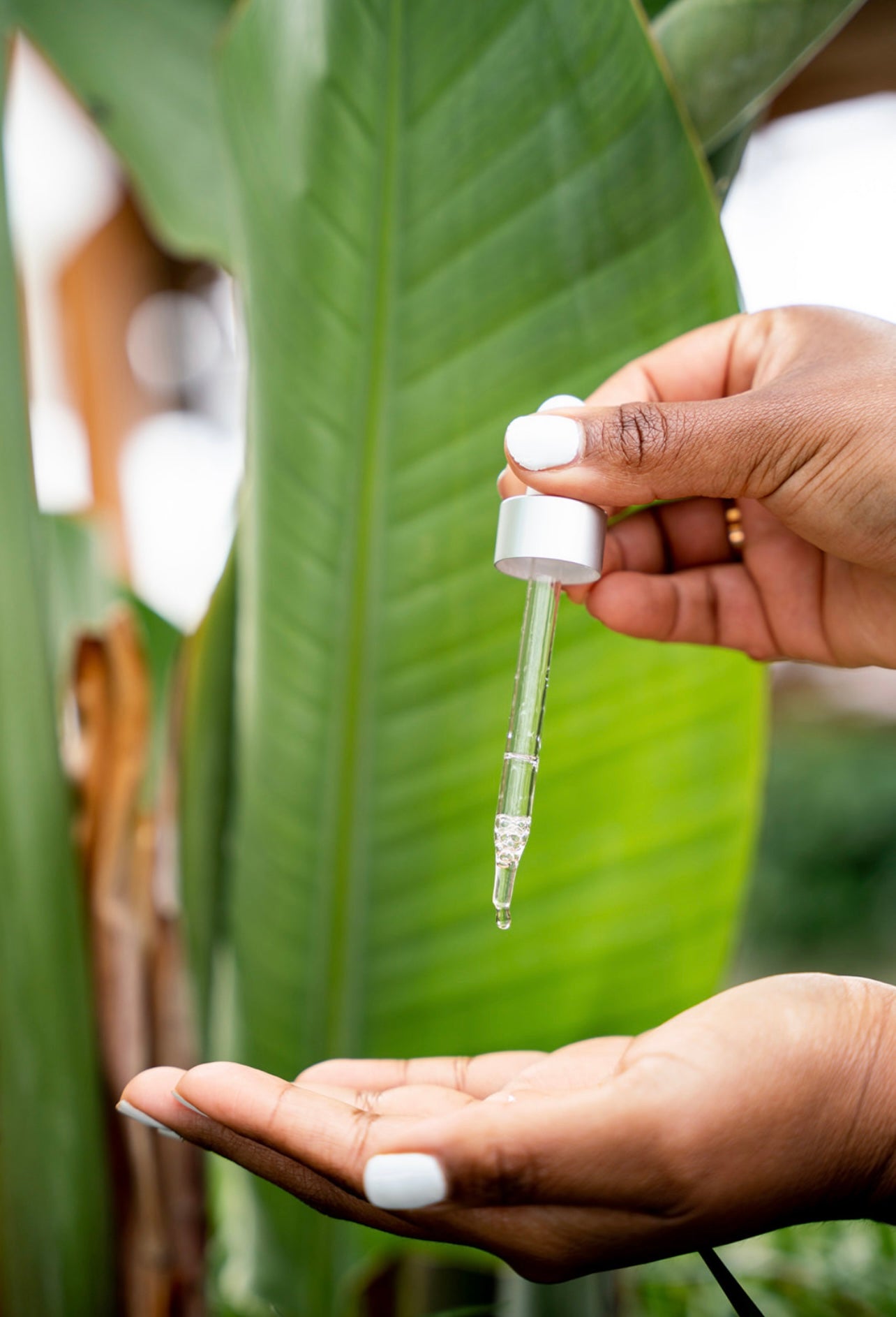 Gracefull Glow hydrating Face Oil